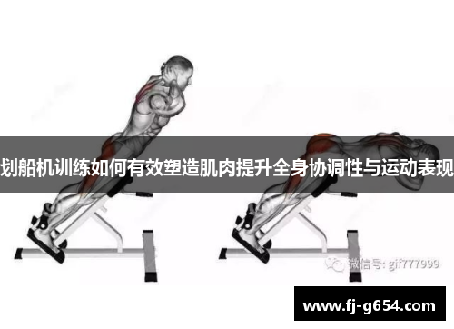 划船机训练如何有效塑造肌肉提升全身协调性与运动表现