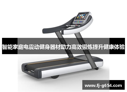 智能家庭电震动健身器材助力高效锻炼提升健康体验