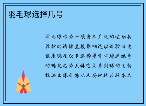 羽毛球选择几号